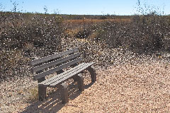 Murray Springs Bench