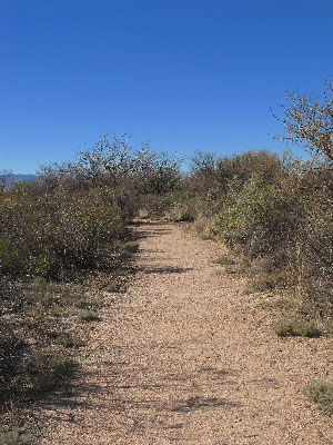 Murray Springs trail