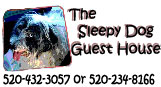 Sleep Dog Guest House